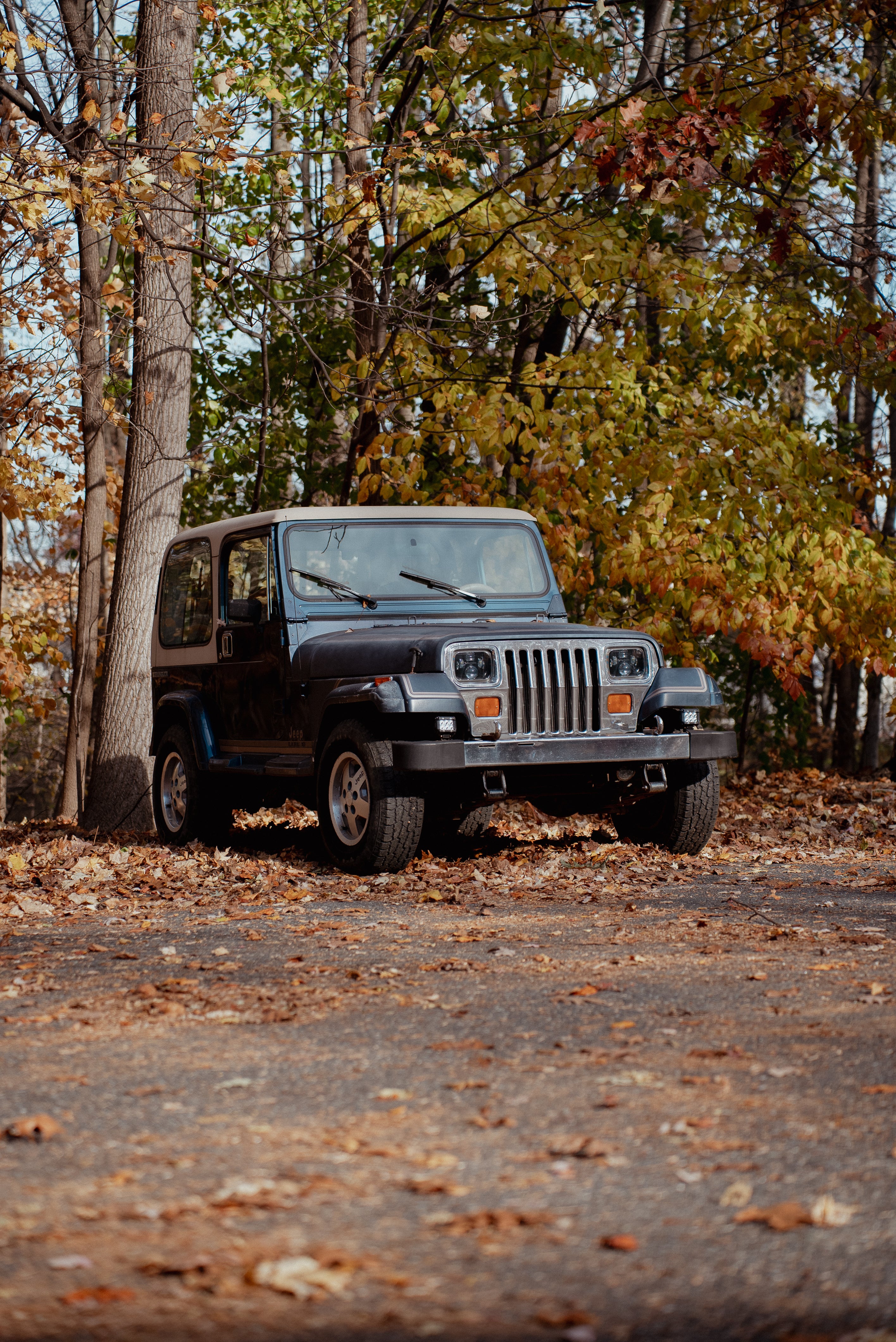 Jeep parked on a dirt road surrounded by trees with autumn foliage