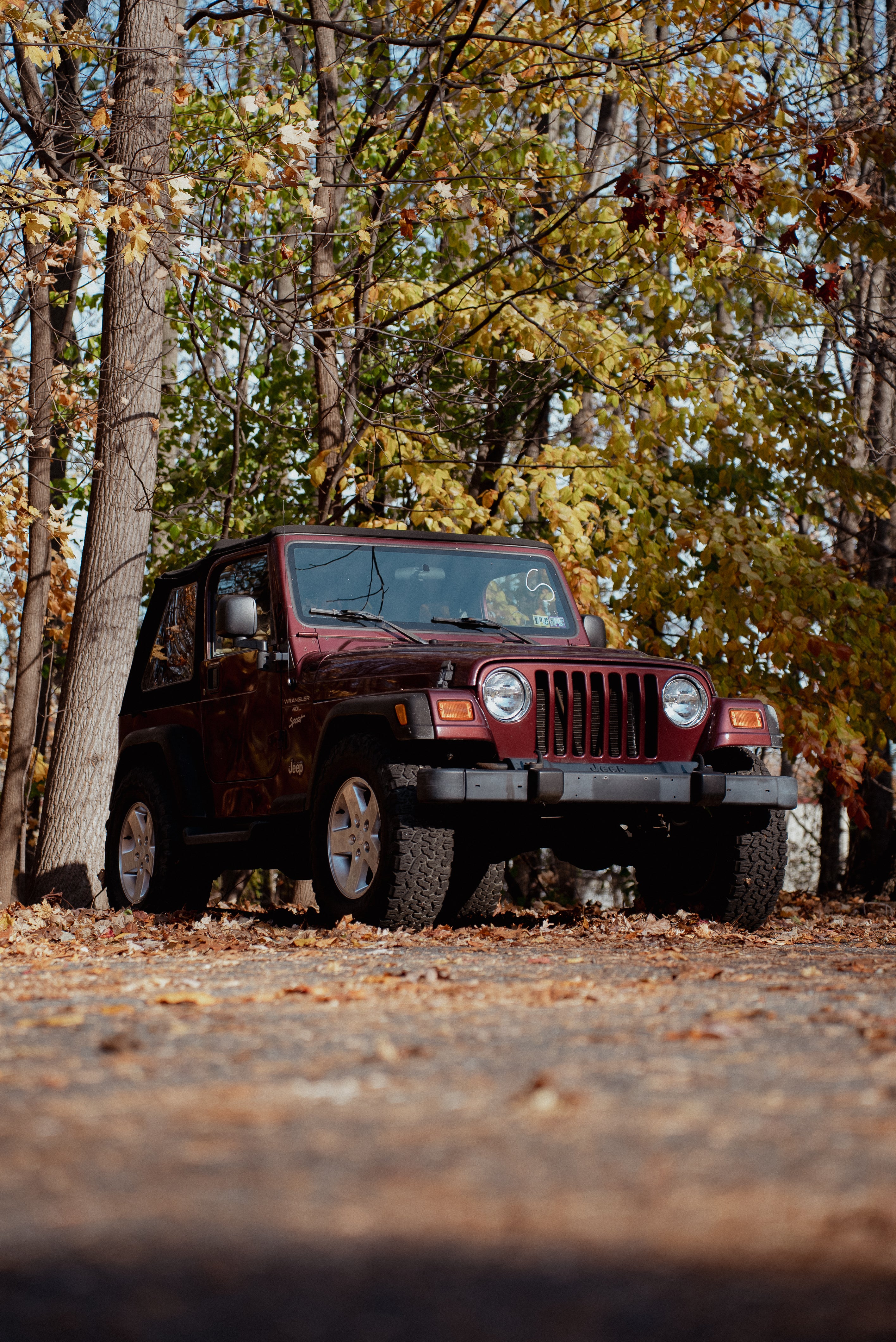 Jeep parked on a dirt road surrounded by trees with autumn foliage